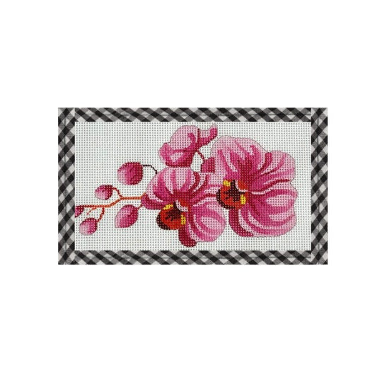 Pink Orchid