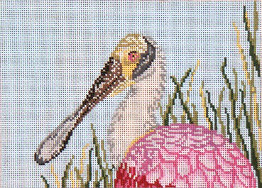 Roseate Spoonbill Head