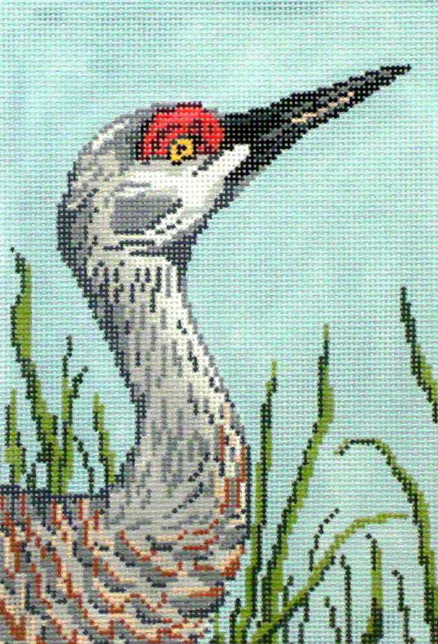 Sandhill Crane Head