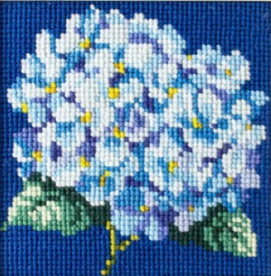 Elizabeth Bradley Mini Kit