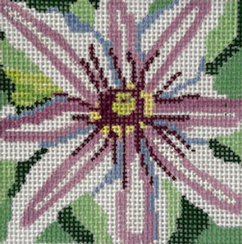 Jean Smith Clematis