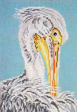 White Pelican