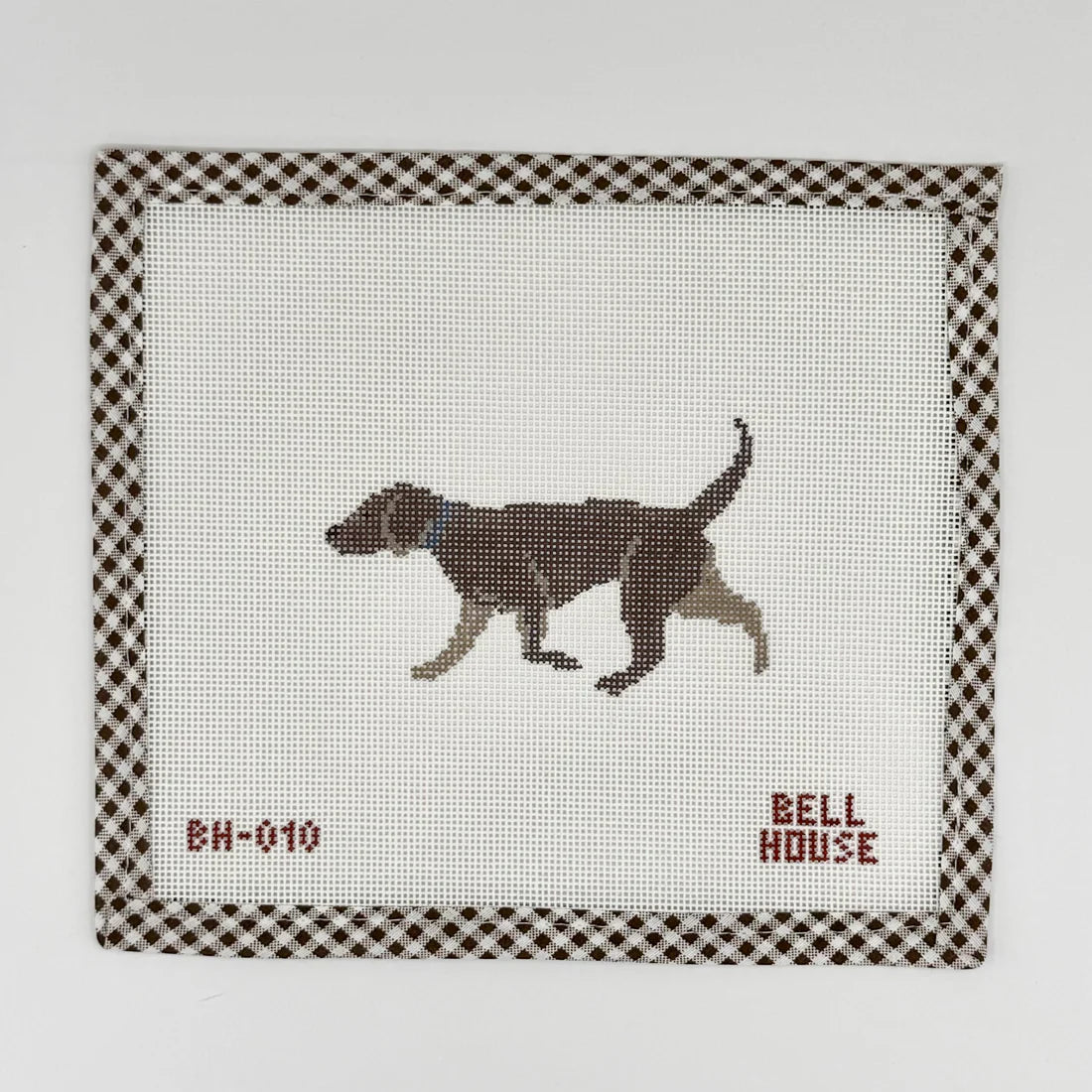 Chocolate Lab