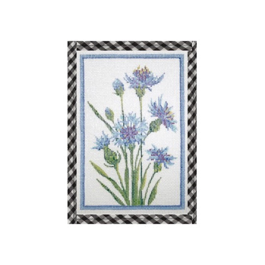 Germany Cornflower