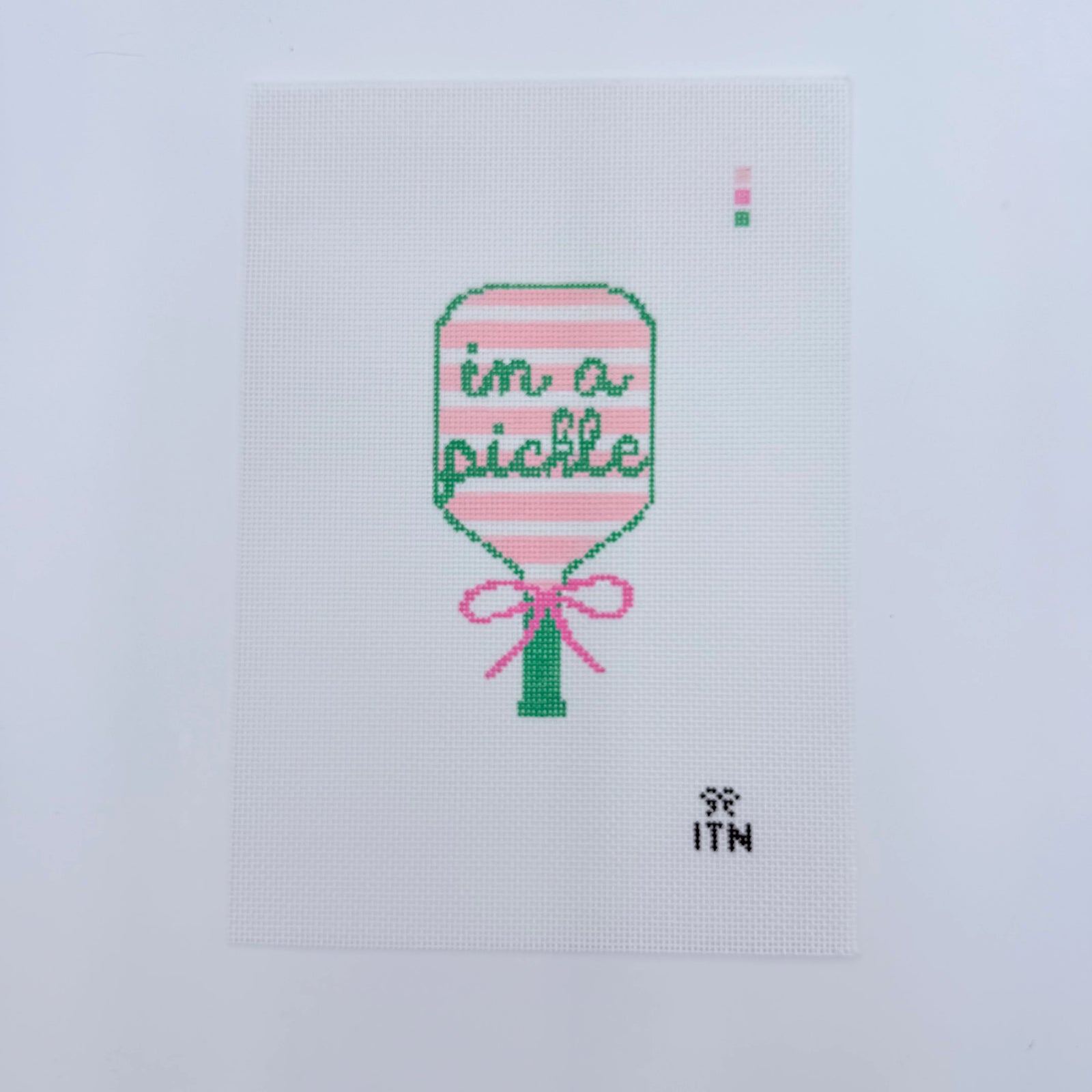 In a Pickle Pickleball Racket