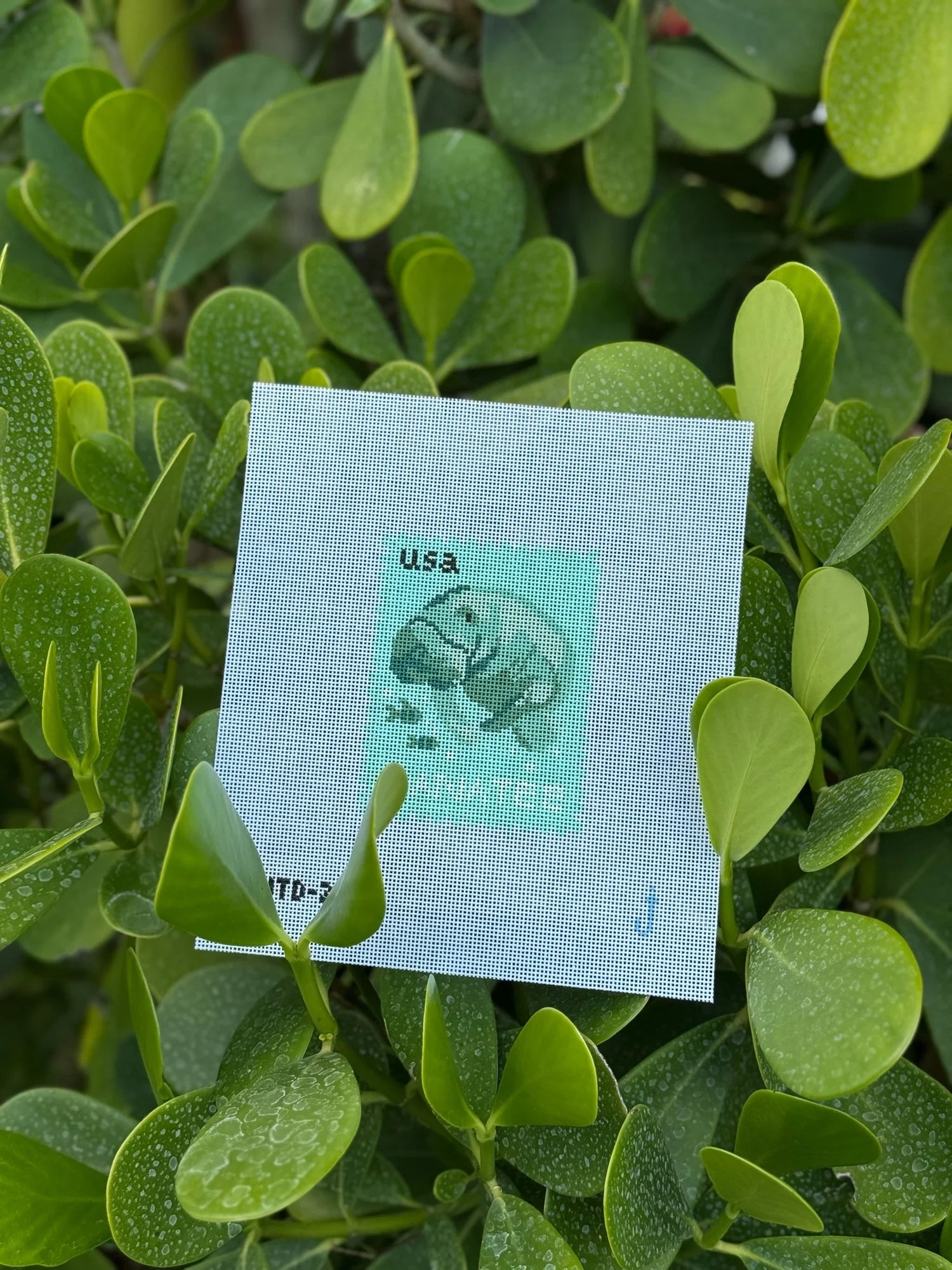 Manatee Stamp