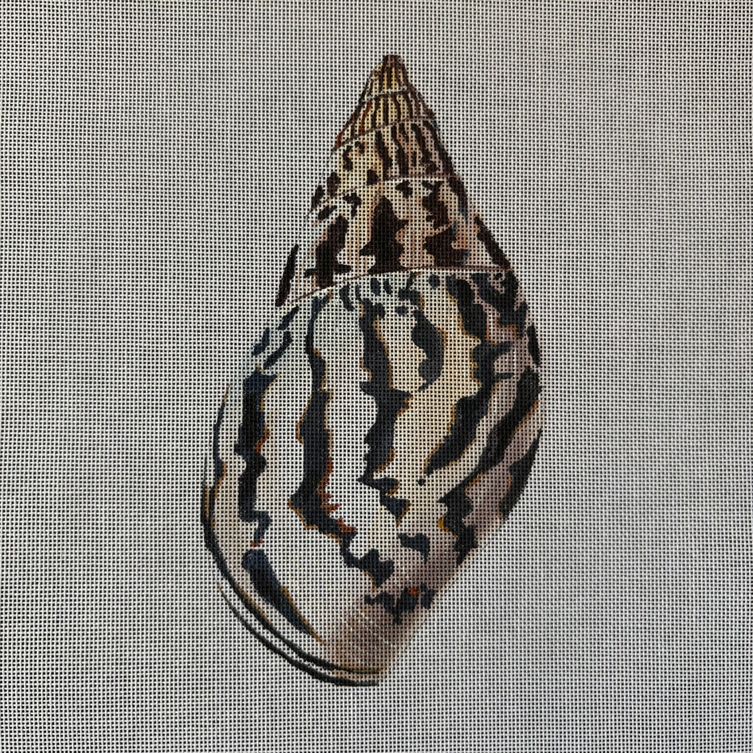 Seashell