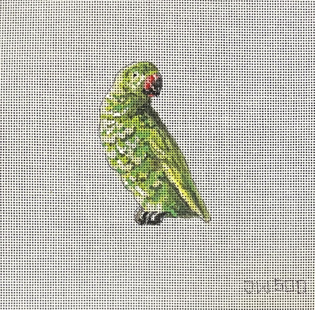 Parrot