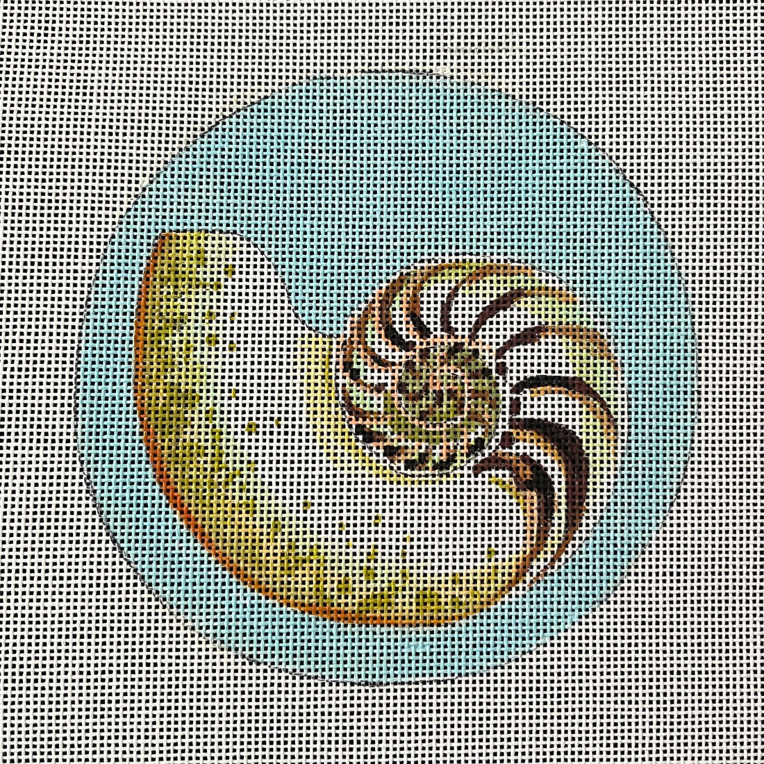 Nautilus