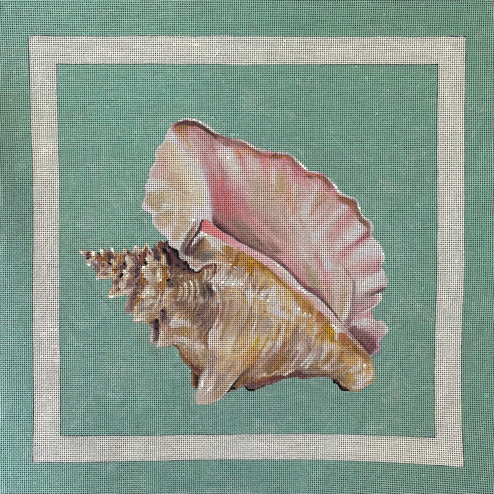Conch Shell MC709