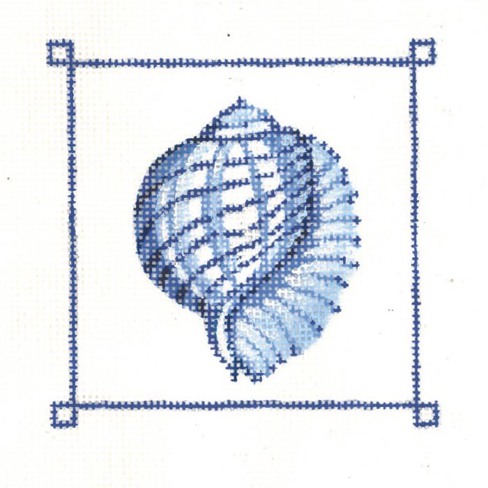 Marine Blue Tiger Chambered Nautilus