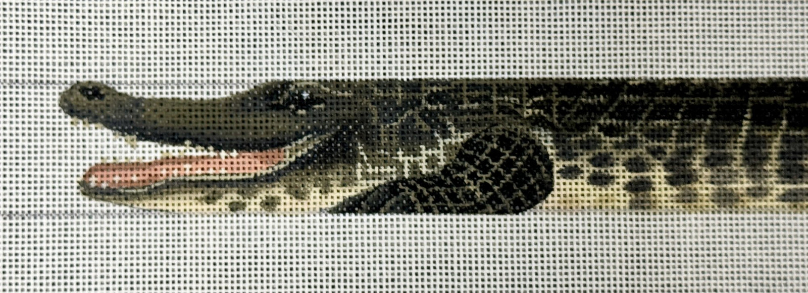 Alligator Belt