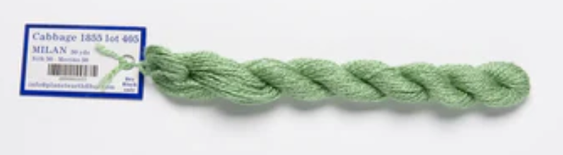 Milan - M1855 Cabbage