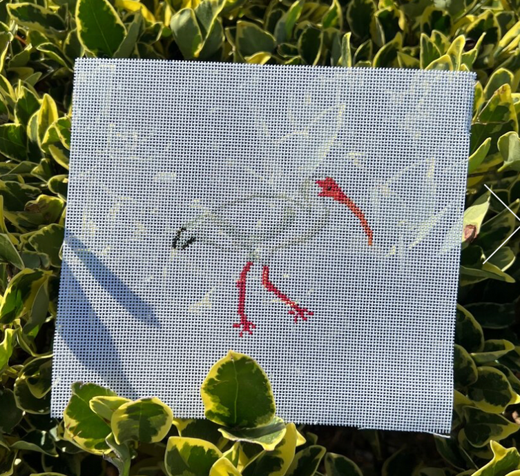 Ibis