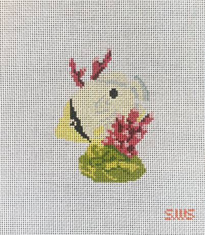 Yellow Coral Fish