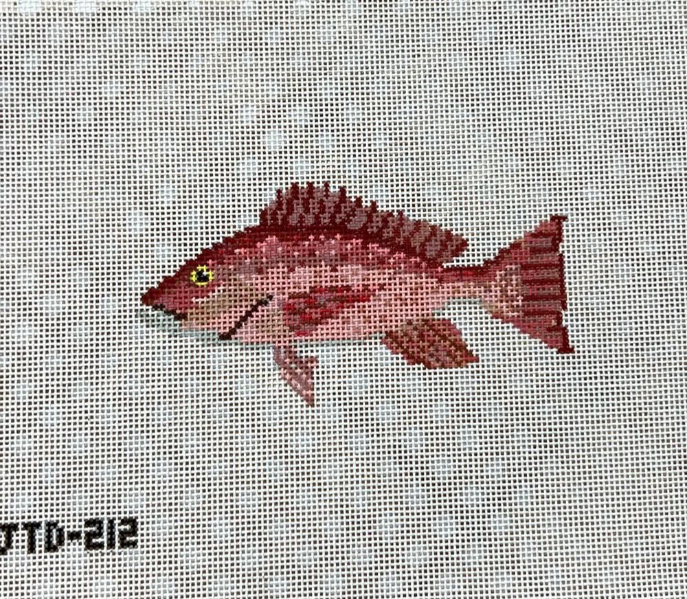 Snapper