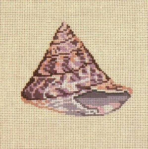 Cone Shell