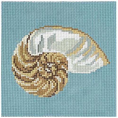 Nautilus Shell Square