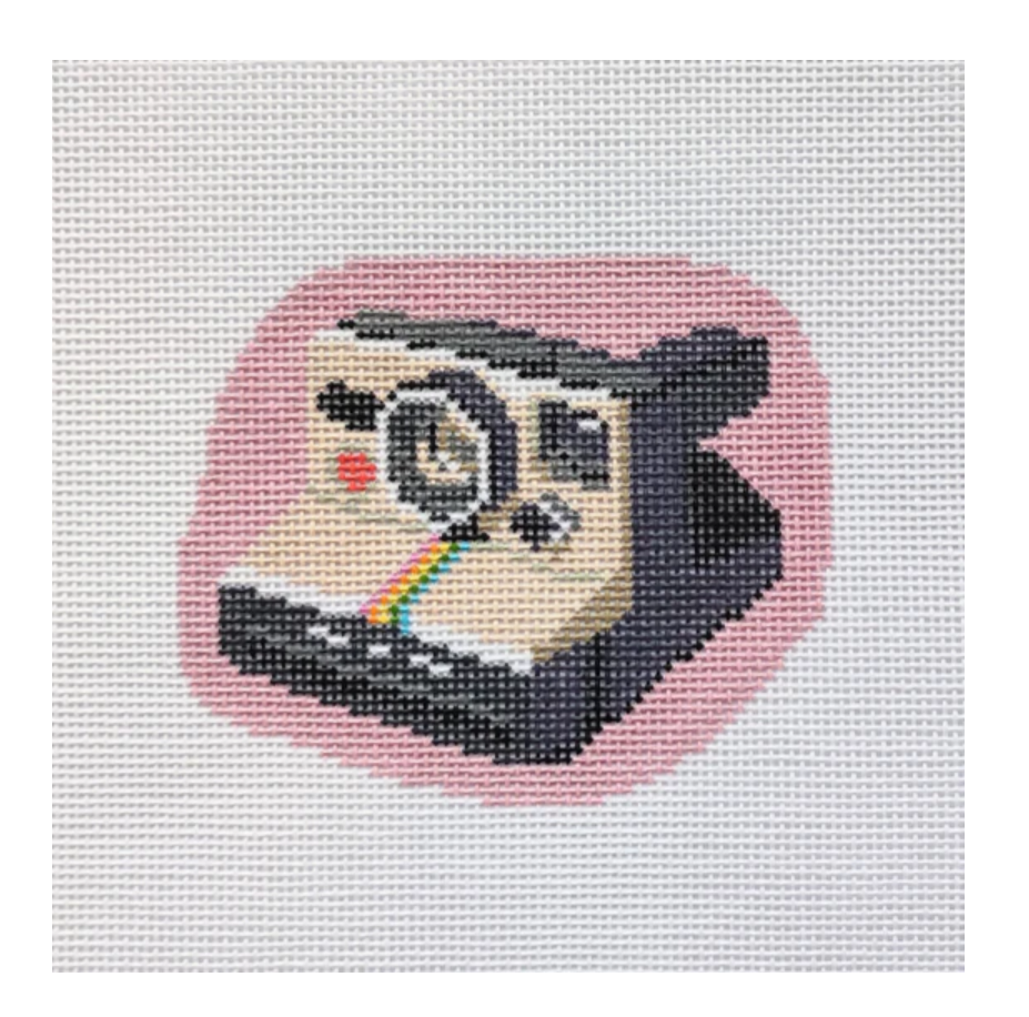 Polaroid Camera